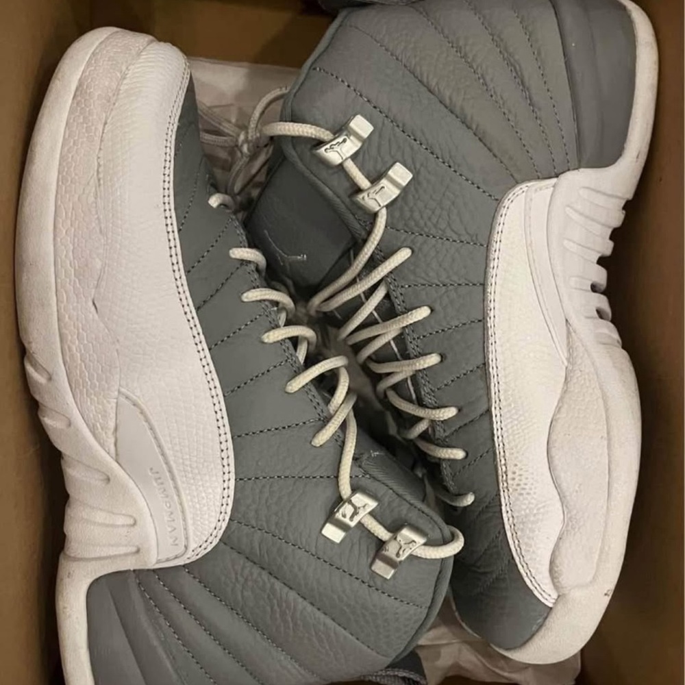 Jordan 12 retro